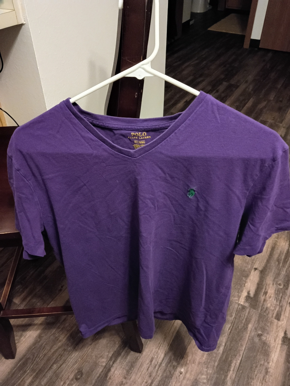 Polo by Ralph Lauren Purple V-Neck Shirt with Green Pony
